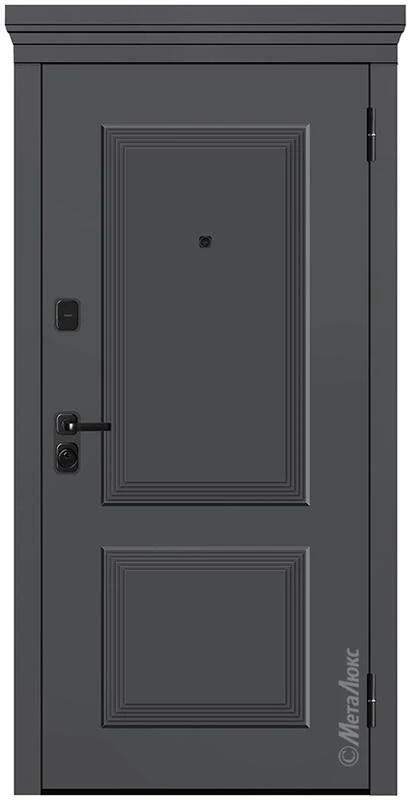 Входная дверь M666 860*2050/ 960*2050