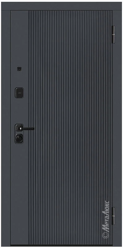 Входная дверь М748/1 Z 860*2050/ 960*2050