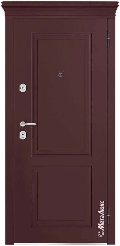 Входная дверь М 1009 Е 860*2050/ 960*2050