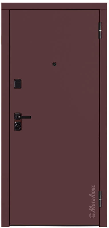 Входная дверь М1109 Е 860*2050/ 960*2050