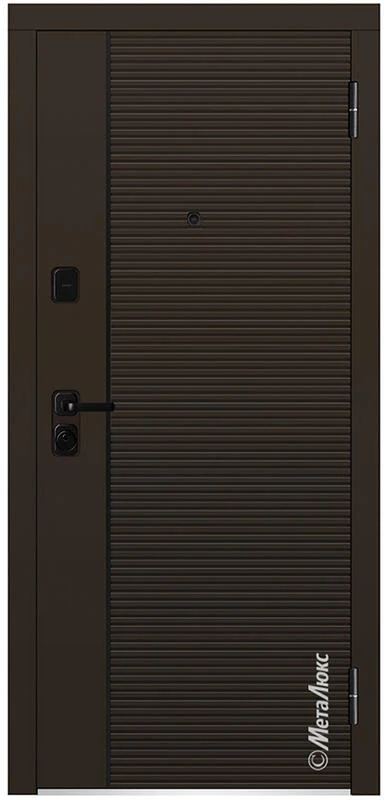 Входная дверь М1110 Е 860*2050/ 960*2050