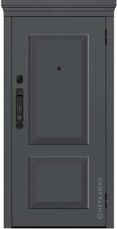 Входная дверь М-SP 666 860*2050/ 960*2050
