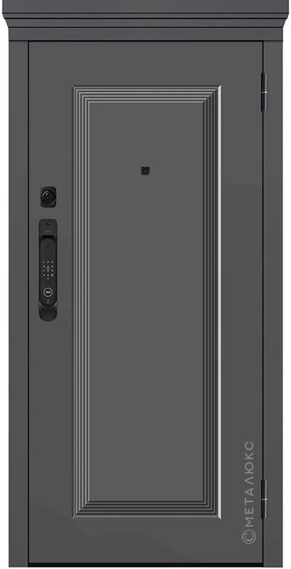 Входная дверь М-SP 668 860*2050/ 960*2050