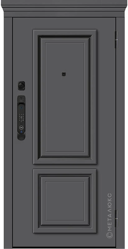 Входная дверь М-SP 788 860*2050/ 960*2050