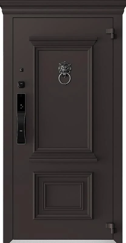 Входная дверь AG-S6096 860*2050/ 960*2050/ 1250х2050