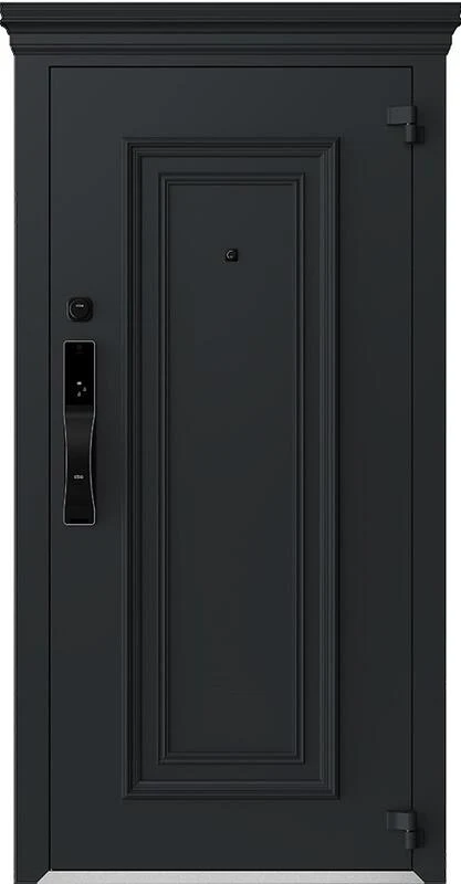 Входная дверь AG-S6079 860*2050/ 960*2050/ 1250х2050