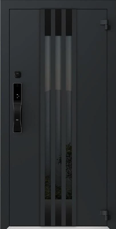 Входная дверь AG-S6119 860*2050/ 960*2050/ 1250х2050